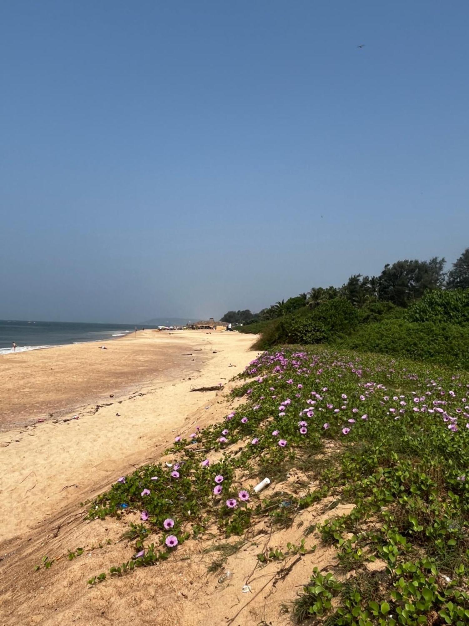 Coco Inn Goa Candolim Exteriér fotografie